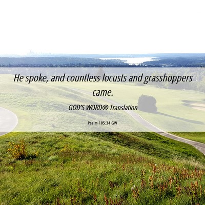 Picture 06 - Psalm 105:34 GW - He spoke, and countless locusts and grasshoppers - Bible Verse Picture
