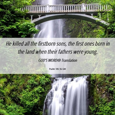 Picture 06 - Psalm 105:36 GW - He killed all the firstborn sons, the first ones - Bible Verse Picture