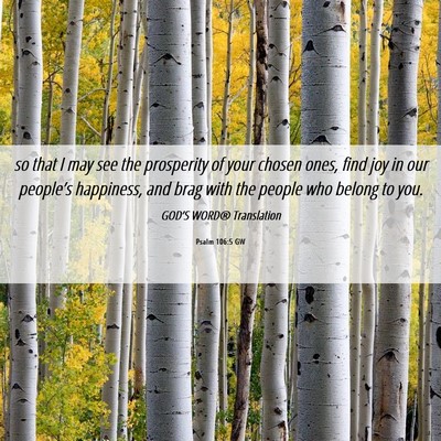 Picture 06 - Psalm 106:5 GW - so that I may see the prosperity of your chosen - Bible Verse Picture