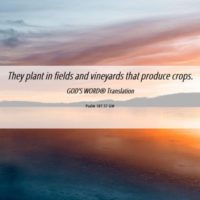 Picture 06 - Psalm 107:37 GW - They plant in fields and vineyards that produce - Bible Verse Picture