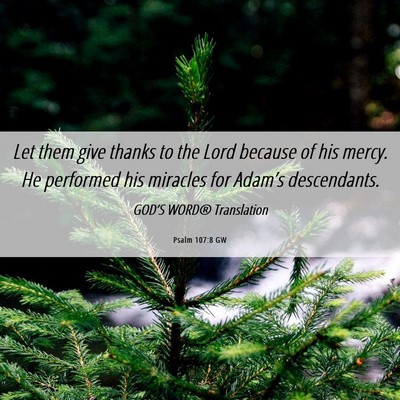 Picture 06 - Psalm 107:8 GW - Let them give thanks to the Lord because of his - Bible Verse Picture
