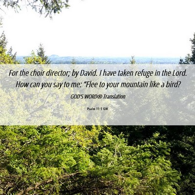 Picture 06 - Psalm 11:1 GW - For the choir director; by David. I have taken - Bible Verse Picture