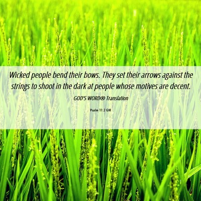 Picture 06 - Psalm 11:2 GW - Wicked people bend their bows. They set their - Bible Verse Picture