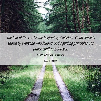 Picture 06 - Psalm 111:10 GW - The fear of the Lord is the beginning of wisdom. - Bible Verse Picture