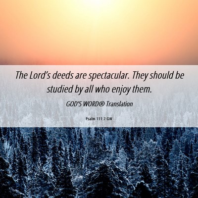 Picture 06 - Psalm 111:2 GW - The Lord’s deeds are spectacular. They should - Bible Verse Picture
