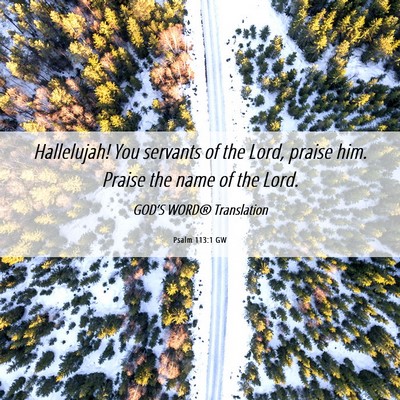 Picture 06 - Psalm 113:1 GW - Hallelujah! You servants of the Lord, praise him. - Bible Verse Picture