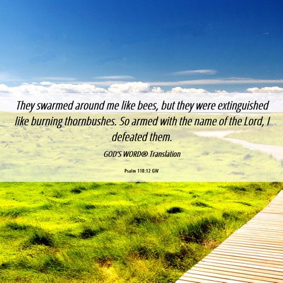 Picture 06 - Psalm 118:12 GW - They swarmed around me like bees, but they were - Bible Verse Picture