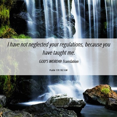 Picture 06 - Psalm 119:102 GW - I have not neglected your regulations, because - Bible Verse Picture