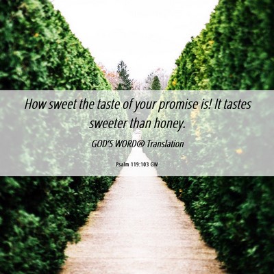 Picture 06 - Psalm 119:103 GW - How sweet the taste of your promise is! It tastes - Bible Verse Picture