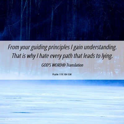Picture 06 - Psalm 119:104 GW - From your guiding principles I gain - Bible Verse Picture