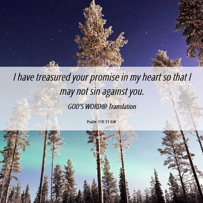 Picture 06 - Psalm 119:11 GW - I have treasured your promise in my heart so that - Bible Verse Picture