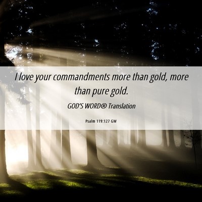 Picture 06 - Psalm 119:127 GW - I love your commandments more than gold, more - Bible Verse Picture