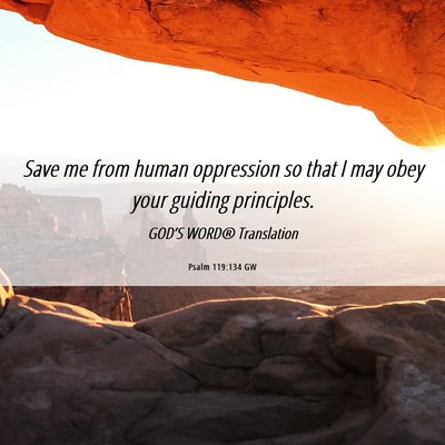 Picture 06 - Psalm 119:134 GW - Save me from human oppression so that I may obey - Bible Verse Picture