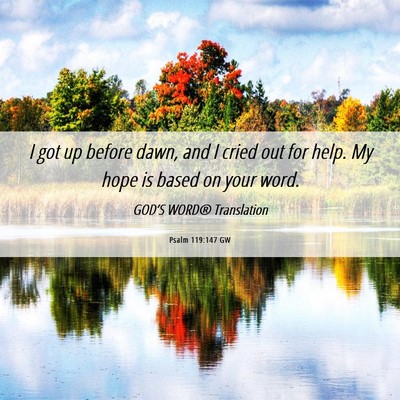 Picture 06 - Psalm 119:147 GW - I got up before dawn, and I cried out for help. - Bible Verse Picture