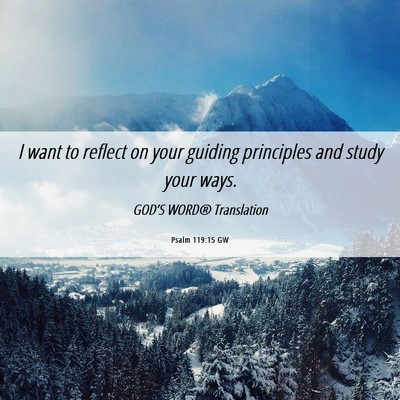 Picture 06 - Psalm 119:15 GW - I want to reflect on your guiding principles and - Bible Verse Picture