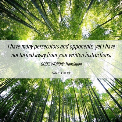 Picture 06 - Psalm 119:157 GW - I have many persecutors and opponents, yet I have - Bible Verse Picture
