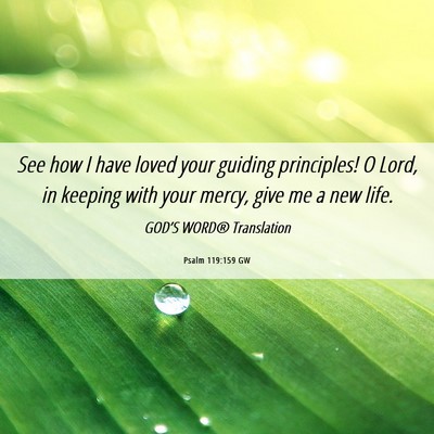 Picture 06 - Psalm 119:159 GW - See how I have loved your guiding principles! O - Bible Verse Picture