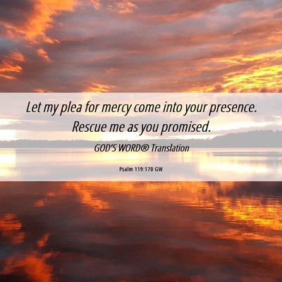 Picture 06 - Psalm 119:170 GW - Let my plea for mercy come into your presence. - Bible Verse Picture