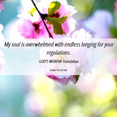 Picture 06 - Psalm 119:20 GW - My soul is overwhelmed with endless longing for - Bible Verse Picture