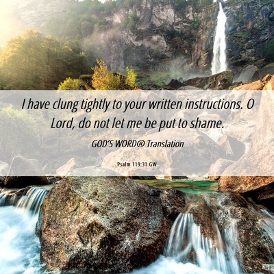 Picture 06 - Psalm 119:31 GW - I have clung tightly to your written - Bible Verse Picture