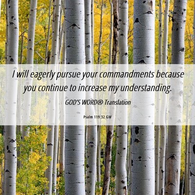 Picture 06 - Psalm 119:32 GW - I will eagerly pursue your commandments because - Bible Verse Picture