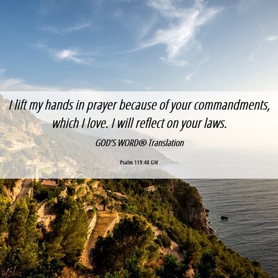 Picture 06 - Psalm 119:48 GW - I lift my hands in prayer because of your - Bible Verse Picture