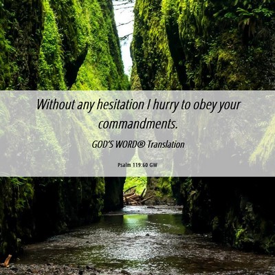Picture 06 - Psalm 119:60 GW - Without any hesitation I hurry to obey your - Bible Verse Picture