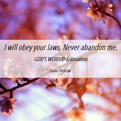 Picture 06 - Psalm 119:8 GW - I will obey your laws. Never abandon - Bible Verse Picture