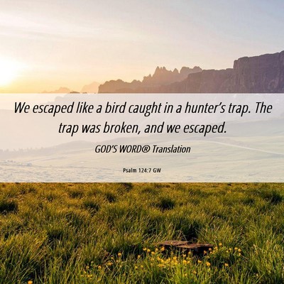 Picture 06 - Psalm 124:7 GW - We escaped like a bird caught in a hunter’s - Bible Verse Picture