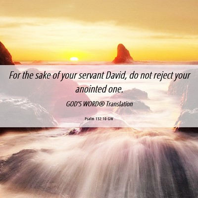 Picture 06 - Psalm 132:10 GW - For the sake of your servant David, do not reject - Bible Verse Picture