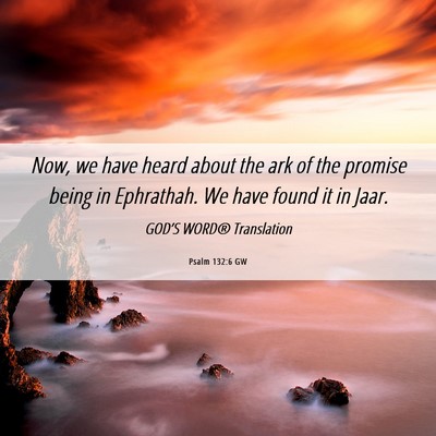 Picture 06 - Psalm 132:6 GW - Now, we have heard about the ark of the promise - Bible Verse Picture