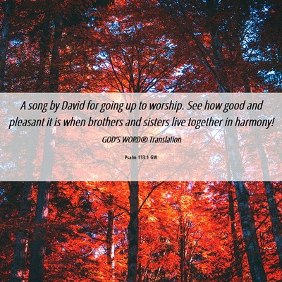 Picture 06 - Psalm 133:1 GW - A song by David for going up to worship. See how - Bible Verse Picture