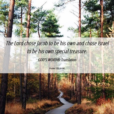 Picture 06 - Psalm 135:4 GW - The Lord chose Jacob to be his own and chose - Bible Verse Picture