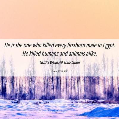Picture 06 - Psalm 135:8 GW - He is the one who killed every firstborn male in - Bible Verse Picture
