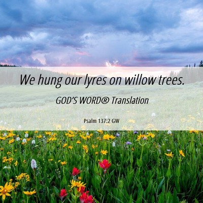 Picture 06 - Psalm 137:2 GW - We hung our lyres on willow - Bible Verse Picture
