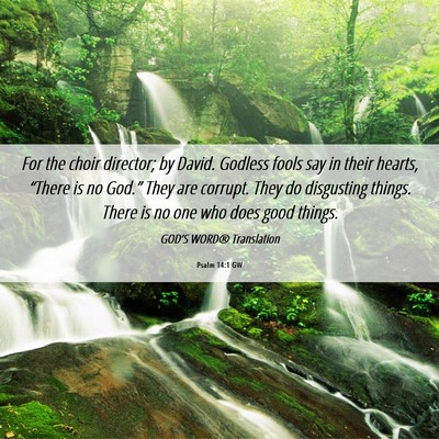 Picture 06 - Psalm 14:1 GW - For the choir director; by David. Godless fools - Bible Verse Picture