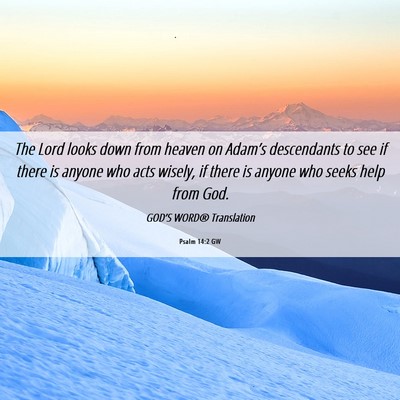 Picture 06 - Psalm 14:2 GW - The Lord looks down from heaven on Adam’s - Bible Verse Picture