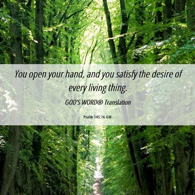Picture 06 - Psalm 145:16 GW - You open your hand, and you satisfy the desire of - Bible Verse Picture