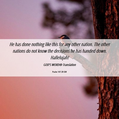 Picture 06 - Psalm 147:20 GW - He has done nothing like this for any other - Bible Verse Picture