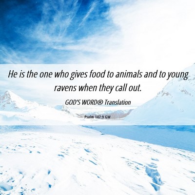 Picture 06 - Psalm 147:9 GW - He is the one who gives food to animals and to - Bible Verse Picture