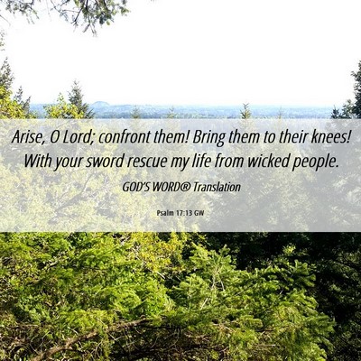 Picture 06 - Psalm 17:13 GW - Arise, O Lord; confront them! Bring them to their - Bible Verse Picture