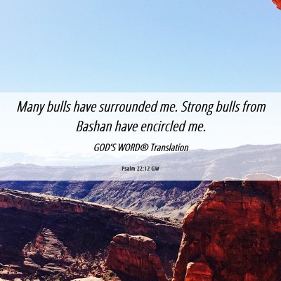 Picture 06 - Psalm 22:12 GW - Many bulls have surrounded me. Strong bulls from - Bible Verse Picture