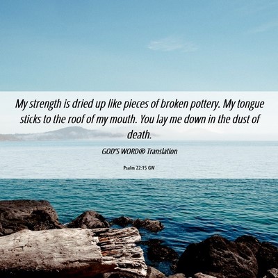 Picture 06 - Psalm 22:15 GW - My strength is dried up like pieces of broken - Bible Verse Picture