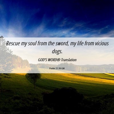 Picture 06 - Psalm 22:20 GW - Rescue my soul from the sword, my life from - Bible Verse Picture