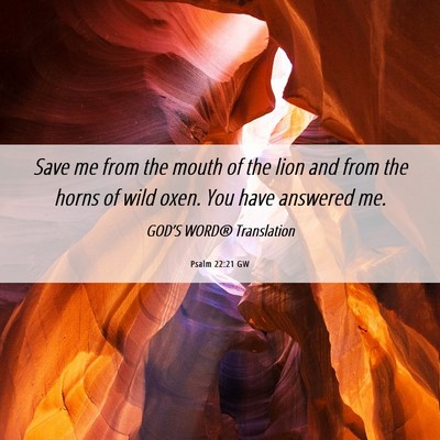 Picture 06 - Psalm 22:21 GW - Save me from the mouth of the lion and from the - Bible Verse Picture