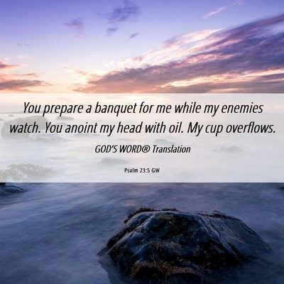 Picture 06 - Psalm 23:5 GW - You prepare a banquet for me while my enemies - Bible Verse Picture