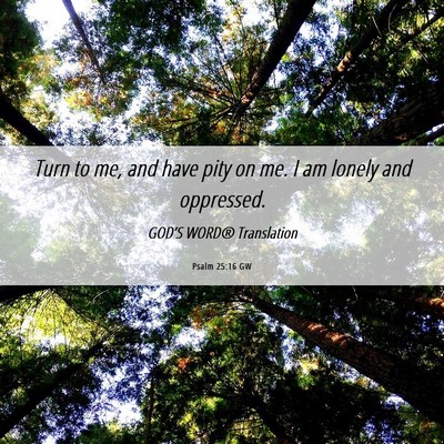 Picture 06 - Psalm 25:16 GW - Turn to me, and have pity on me. I am lonely and - Bible Verse Picture