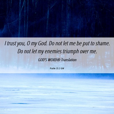 Picture 06 - Psalm 25:2 GW - I trust you, O my God. Do not let me be put to - Bible Verse Picture