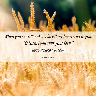 Picture 06 - Psalm 27:8 GW - When you said, “Seek my face,” my heart said - Bible Verse Picture