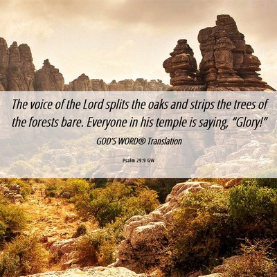 Picture 06 - Psalm 29:9 GW - The voice of the Lord splits the oaks and strips - Bible Verse Picture
